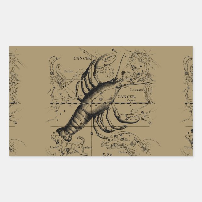 Adesivo Retangular Constelação de cancer Hevelius 1690 Engave (Frente)