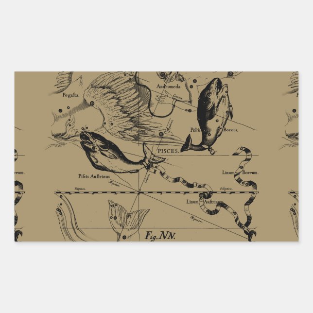 Adesivo Retangular Constelação de peixes Hevelius 1690 Decor (Frente)