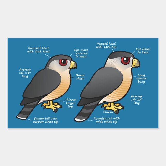 Adesivo Retangular Coop v Sharpie (Frente)