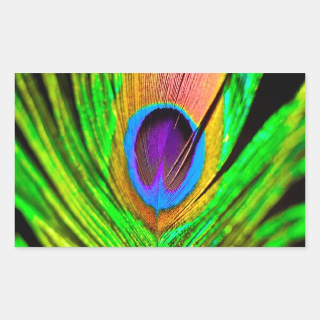 Adesivo Retangular Cores Neon Pena de Pavão (Frente)