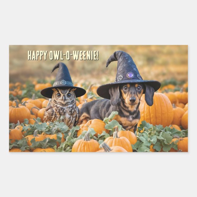 Adesivo Retangular Coruja e Dachshund Cachorro Halloween Engraçado (Frente)