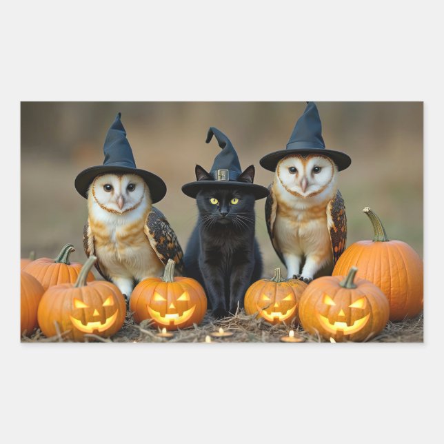 Adesivo Retangular Corujas de Halloween e Gato Preto Jack O Lantern (Frente)