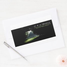 Adesivo Retangular Cotação Inspiracional "Curiosity"