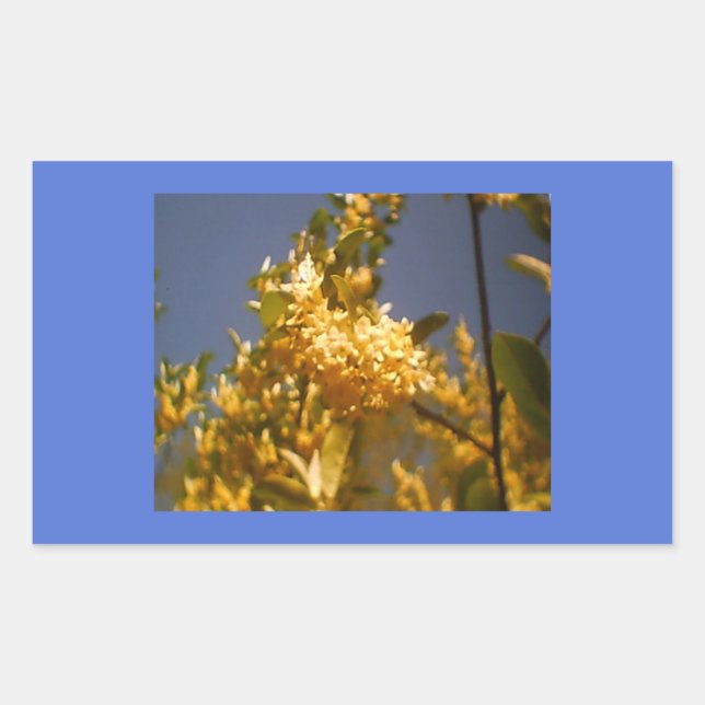 Adesivo Retangular Country Summer Floral (Frente)