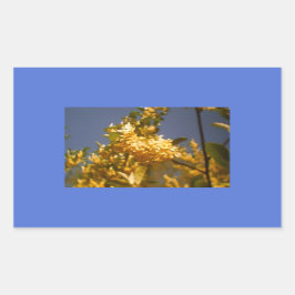 Adesivo Retangular Country Summer Floral