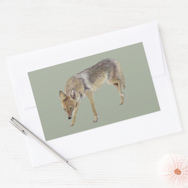 Adesivo Retangular Coyote (Envelope)