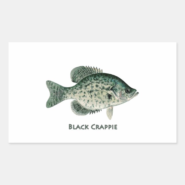 Adesivo Retangular Crappie Preto (Frente)