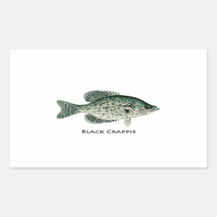 Adesivo Retangular Crappie Preto