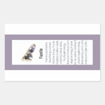 Cristal Fluorito Significa Pacote Gemstone De Joia