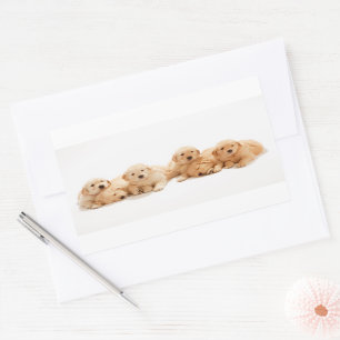 Adesivo Retangular Cuppies de Ouro