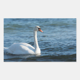 Adesivo Retangular Cygnus branco
