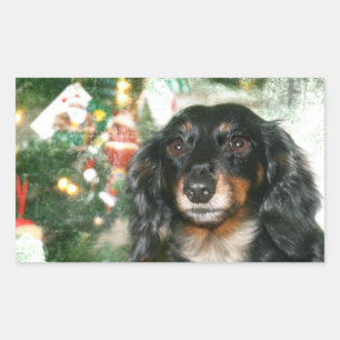 Adesivo Retangular Dachshund Christmas
