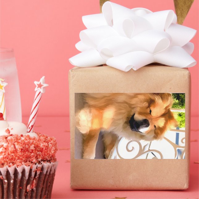 ADESIVO RETANGULAR DAEJA, NO BURACHOUSE (Festa)