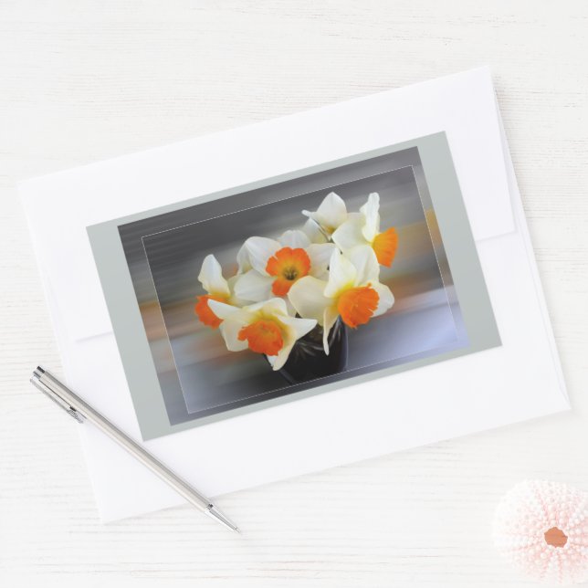 Adesivo Retangular Daffodilos de primavera precoce (Envelope)