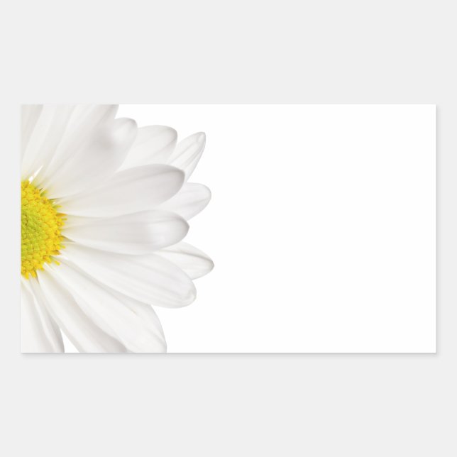 Adesivo Retangular Daisies Personalizadas de Fundo de Daisy Flower Br (Frente)