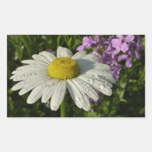 Adesivo Retangular Daisy e Summer Lilac Wildflower