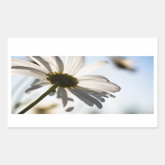Adesivo Retangular Daisy sticker