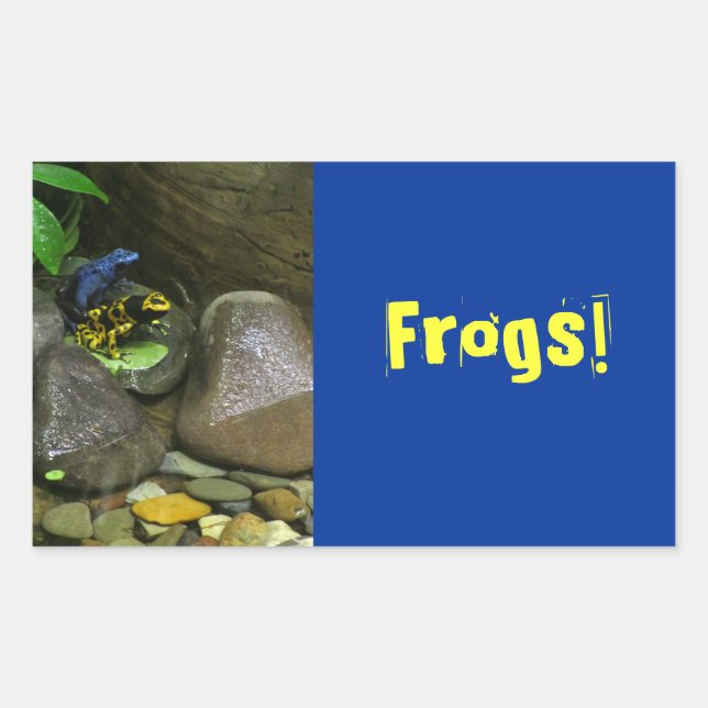 Adesivo Retangular Dart Sapo Buddies (Frente)