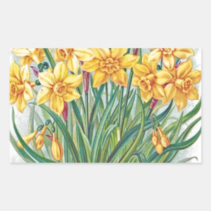 Adesivo Retangular data rsvp flores narciso amarelo vintage