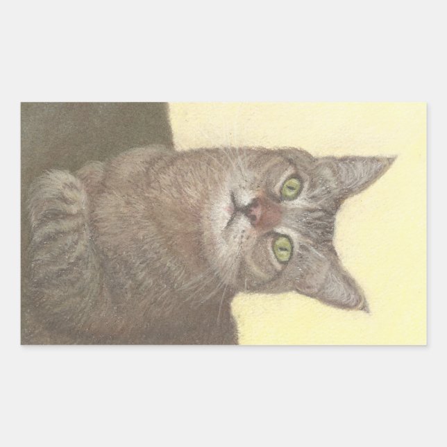 Adesivo Retangular de Gato Abissino (Frente)