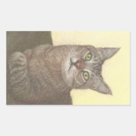 Adesivo Retangular de Gato Abissino