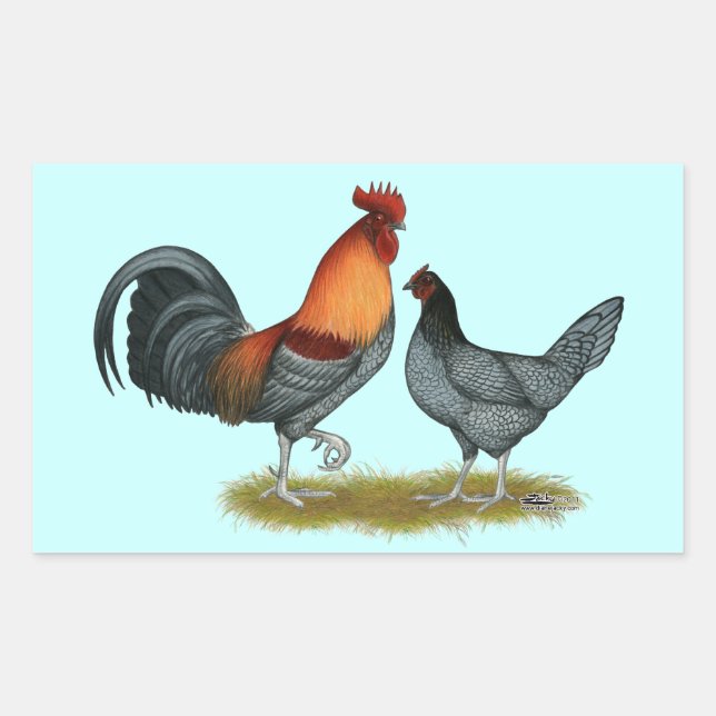 Adesivo Retangular Delaware Blue Hen (Frente)