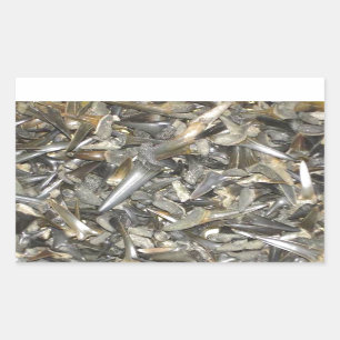 Adesivo Retangular Dentes de tubarão fósseis