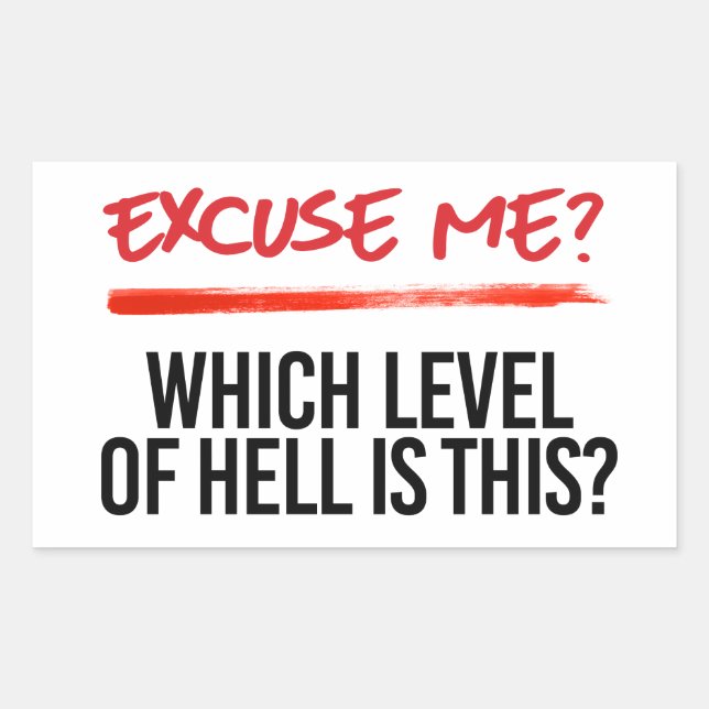 Adesivo Retangular Desculpe-me qual nível é este (Frente)