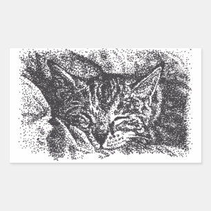 Adesivo Retangular Desenho De Gato De Dormir Bastante