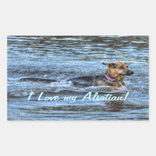 Adesivo Retangular Desenhos de cães para amantes de animais de compan