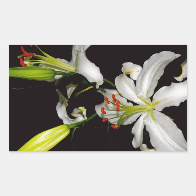 Adesivo Retangular Design irlandês - Coleção de latas e flores (Frente)