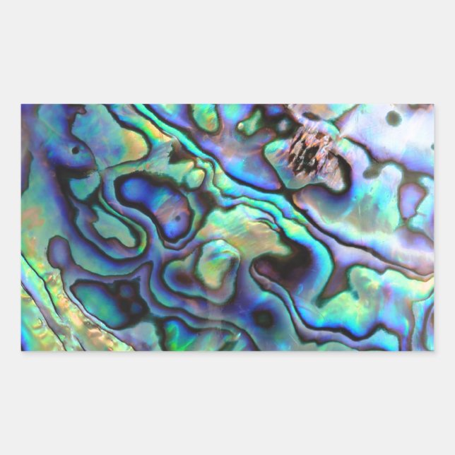 Adesivo Retangular Detalhe da concha do abalone Paua (Frente)