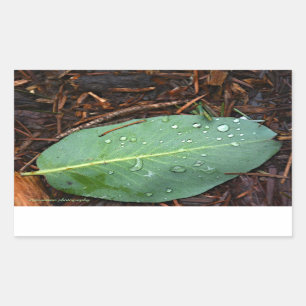 Adesivo Retangular Dew Dappled Leaf