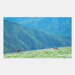 Adesivo Retangular Dinheiro das montanhas