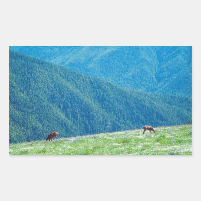 Adesivo Retangular Dinheiro das montanhas (Frente)