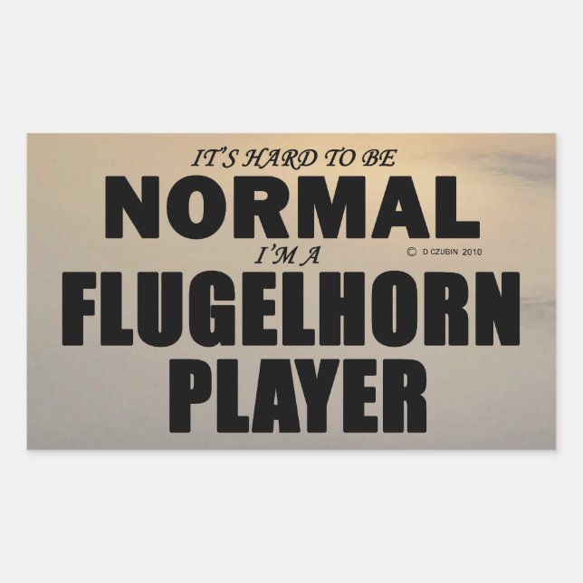 Adesivo Retangular do Jogador de Plug-lho Normal (Frente)