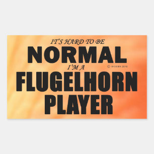 Adesivo Retangular do Jogador de Plug-lho Normal