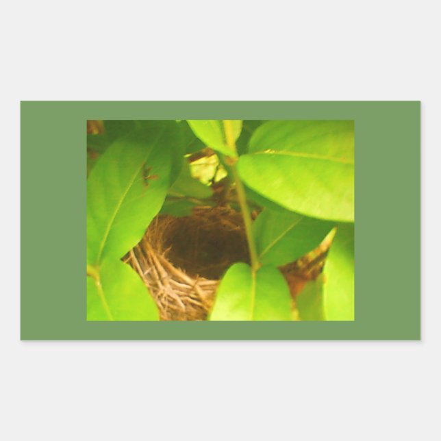Adesivo Retangular do Ninho de Beija-flor (Frente)