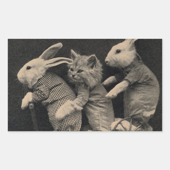 Adesivo Retangular Dois coelhos e um gato num Patinete (Frente)