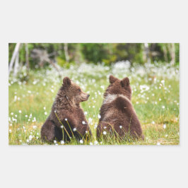Adesivo Retangular Dois ursos castanhos jovens