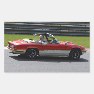 Adesivo Retangular Dourada Leaf Team Lotus Elan