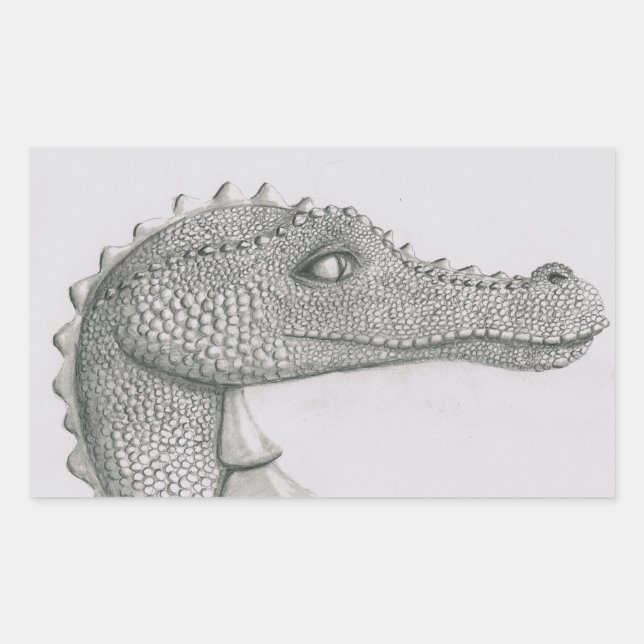 Adesivo Retangular Dragão assado (Frente)