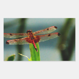 Adesivo Retangular Dragonfly Vermelha e Negra