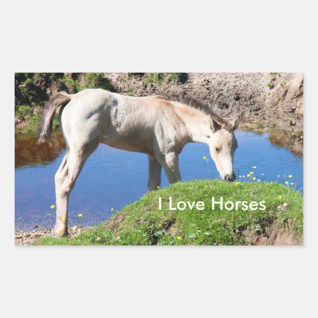 Adesivo Retangular Dun foz de cavalo Stickers (Frente)