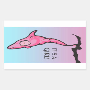 Adesivo Retangular é uma menina! (casulo de golfinho)