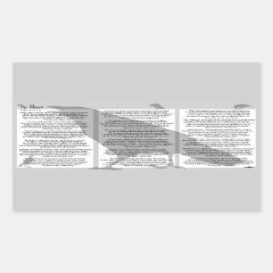 Adesivo Retangular Edgar Allan Poe O Raven