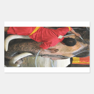 Adesivo Retangular Elefante Bathtime... Ayutthaya, Tailândia