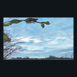 Adesivo Retangular Elegante Holly Christmas, céu azul<br><div class="desc">Elegante Holly Christmas,  azul sky Foto de Sandy Closs xmas Christmas holly,  berry,  "holly berry" "elegante natal" "flores de natal" "floral azul verde azul"</div>