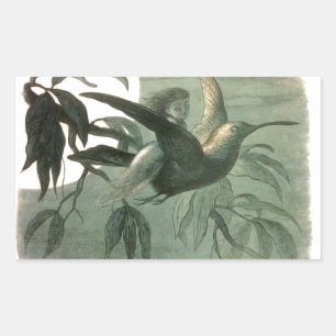 Adesivo Retangular Elf Fairies Elves Moon Night Bird Voando
