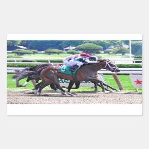 Adesivo Retangular Emplumado pelo Charlie-Recibo indiano